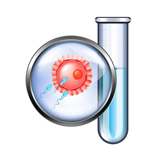 ivf2